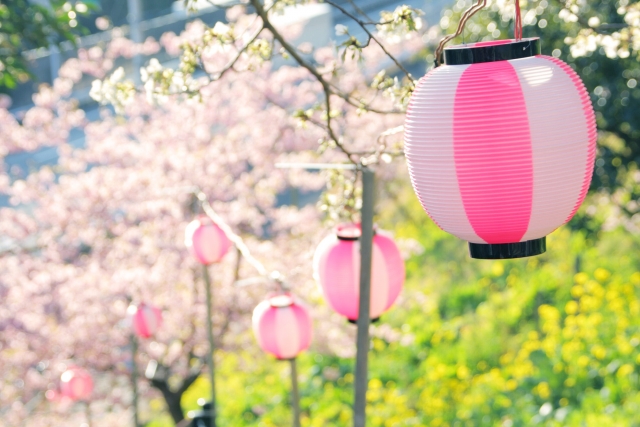 早咲きの桜「河津桜まつり」で少し早い春の訪れを感じよう！