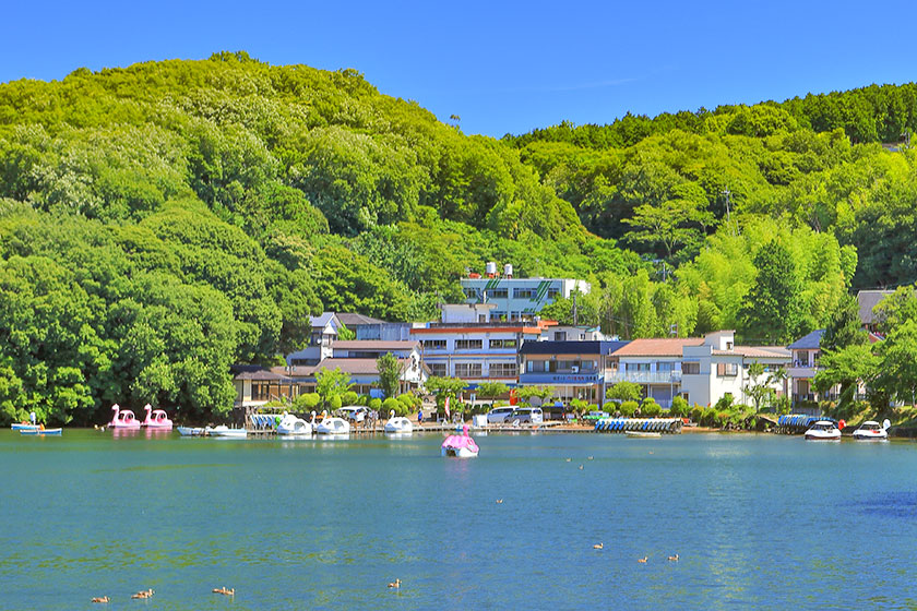 「テラスカフェ一碧湖」で日本百景に選ばれた美しい湖を眺めながら寛ぎの時間を過ごす